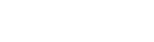 World Logistics Cargo